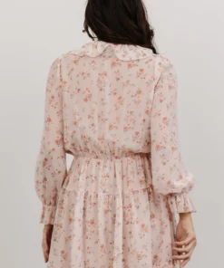 AK Doris Mini Dress | Blush Floral Dresses 10 AK Doris Mini Dress | Blush Floral Dresses