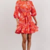 SL Shop All Elena Mini Dress | Red + Pink Floral