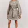DF Xyla Sparkle Mini Dress | Silver